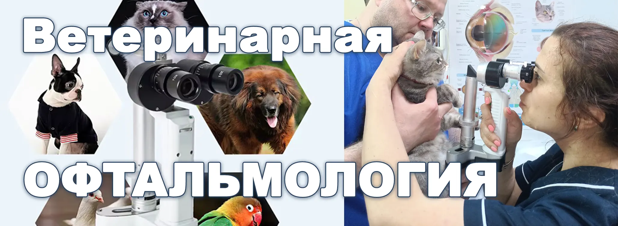 Баннер-ОФТАЛЬМОЛОГИЯ