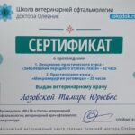 Без имени-1_0000_IMG-20250313-WA0023