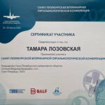 Без имени-1_0002_IMG-20250313-WA0011