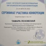 Без имени-1_0003_IMG-20250313-WA0009