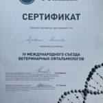 IMG-20250313-WA0026_0003_IMG-20250313-WA0014