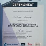 IMG-20250313-WA0026_0005_IMG-20250313-WA0012