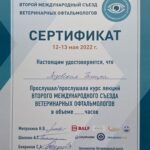 IMG-20250313-WA0026_0006_Слой 0